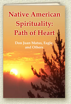 Book The Teachings of Don Juan Matus